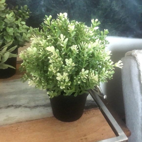 ❤️3/$30 IKEA fake plants 🪴 - Picture 5 of 8